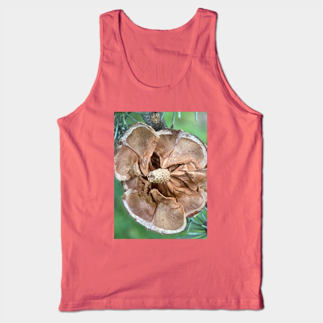 Faded picea cone Tank Top by Xingu&Florea